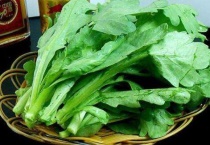 茼蒿露天种植时间和多久？