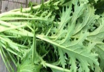 雪菜是不是萝卜叶 附雪菜的相关介绍