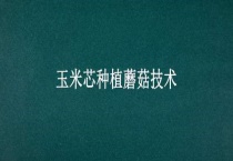 玉米芯种植蘑菇技术