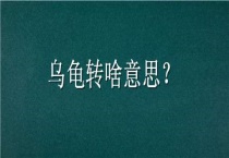 乌龟转啥意思