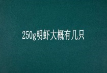 250g明虾大概有几只