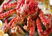 帝王蟹的价格是多少 附帝王蟹的介绍