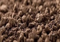 我国的土壤分类有哪些？大致分布在哪些地区