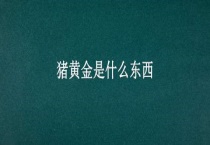 猪黄金是什么东西