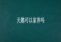 天鹅可以家养吗？