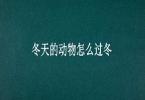 冬天的动物怎么过冬