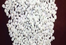 氮肥的合理施用技术 科学平衡施肥是提高氮肥施用效果的综合途径