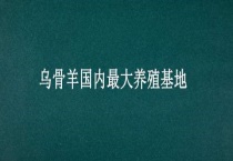 乌骨羊国内最大养殖基地