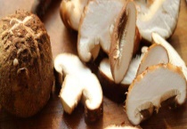 香菇是凉性还是热性