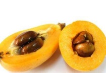 枇杷核怎么种植