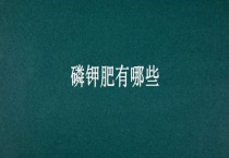 磷钾肥有哪些？