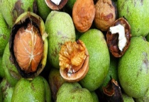 鲜核桃仁的皮可不可以吃 怎么给新鲜核桃仁去皮