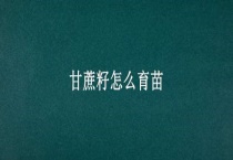 甘蔗籽怎么育苗