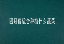 四月份适合种植什么蔬菜