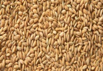 水稻出米率怎么算