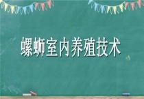 螺蛳室内养殖技术