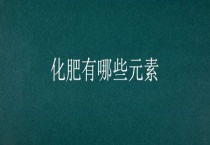 化肥有哪些元素