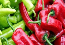 青椒红椒的区别？