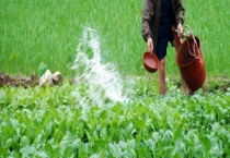 碳铵能不能冲施 碳铵和尿素有什么区别？？