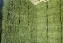 绿色水产饲料添加剂是什么？绿色水产饲料添加剂具备的特征