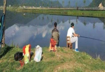 冬季钓鱼用什么饵料最好 附红虫的使用多久？