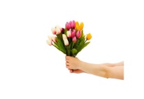 郁金香多年生还是一年生