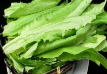 莴笋叶子是不是油麦菜 油麦菜和莴笋叶有什么不同