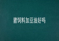 猪饲料加豆油好吗？
