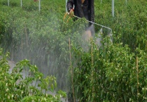 使用虱螨脲有哪些注意事项 虱螨脲有什么作用