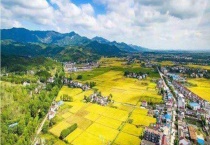 现代农业的特征有哪些？