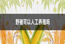 野猪可以人工养殖吗？