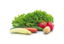 儿菜种植技术和管理