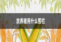 放养猪用什么围栏