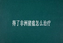 得了非洲猪瘟怎么治疗