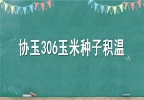 协玉306玉米种子积温