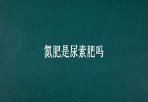 氮肥是尿素肥吗？