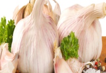 大蒜普遍病虫害防治方法 发病表现