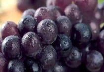 巨峰葡萄有籽吗？