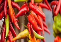 胡椒和辣椒的区别？ 详细介绍