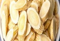 种植黄芪的时间 黄芪病虫害防治