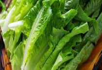 莴笋的叶子是否就是油麦菜 油麦菜和莴笋叶有什么区别？？