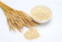 小麦拌种后能放多久？