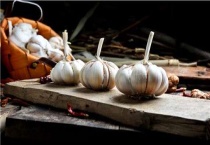 大蒜返青期怎么管理