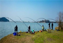 黄面面配什么饵料钓鲤鱼