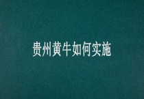 贵州黄牛如何实施