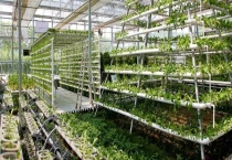 我国有机农业的发展前景 我国有机农业的发展优势