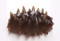 泡发好的海参还能放进冰箱里冷藏吗 泡发的海参有哪些保存多久？