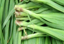 与韭菜相克的食物有哪些 种植韭菜时有哪些注意事项