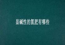 显碱性的氮肥有哪些？