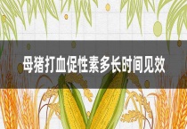 母猪打血促性素多长时间见效